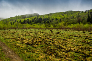Fototapeta na wymiar a forest road and landscape of the carpathian mountains, national park Skolivski beskidy, Lviv region of Western Ukraine
