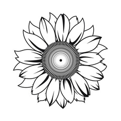 Sunflower vector illustration in black color