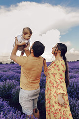 Dad and mom, parents play with their little son in a lavender field. Summer day.