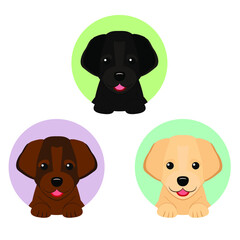Labrador icon. Isolated vector illustration.