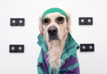 Stylish dog in a 90s blazer and videotape. Portrait of a golden retriever with glasses against a...