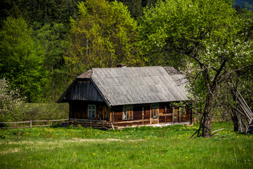 a lonely small wooden house and farmland in ukrainian village