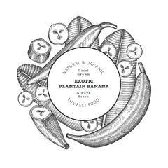 Hand drawn sketch style plantain banner. Organic fresh fruit vector illustration. Retro exotic banana fruit design template