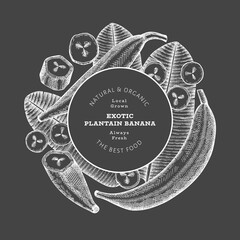 Hand drawn sketch style plantain banner. Organic fresh fruit vector illustration on chalk board. Retro exotic banana fruit design template © lubovchipurko