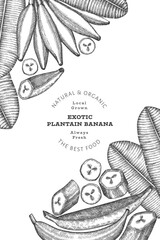 Hand drawn sketch style plantain banner. Organic fresh fruit vector illustration. Retro exotic banana fruit design template