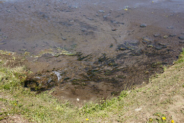 水路から水を引き入れている最中の水田 長野県 松本市
