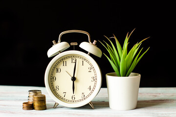 coins, alarm and a green plant on the table on a black background