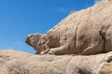 calvi, corse, monstre, dinosaure, paysage, montagne, rocher, nature, ciel, colline, roc, voyage,...