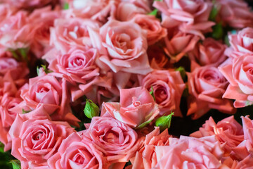 bouquet of pink roses. texture for greeting card for Valentine's day, birthday, March 8. tenderness and love
