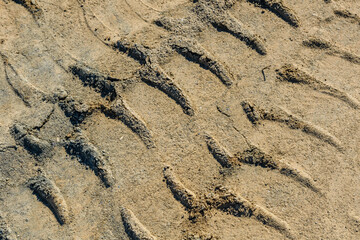 Impints of the truck tires on sand near quarry. Earthworks, offroad