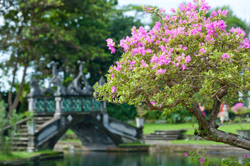 empty traditional asian decorated bridge over pond with flowers