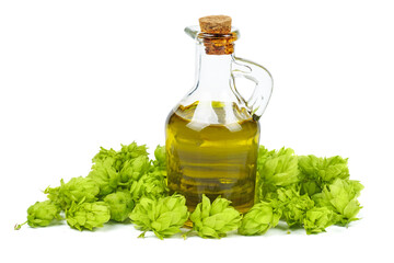 Fresh green hop cones with decanter of oil isolated on white background.
