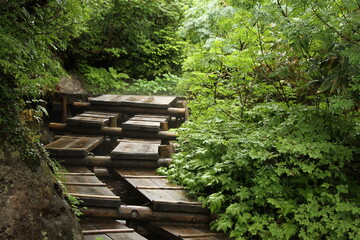 雨の遊歩道