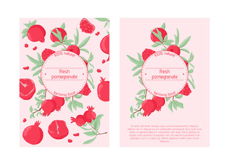 Pomegranate fruits on branch with leaves and grains vector hand drawn card template. Fresh pomegranates.