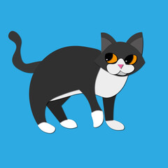 cat with eyes. Cat vector