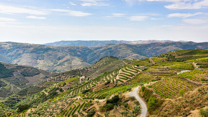 Fototapeta na wymiar Mountains in Portugal with planted vineyards