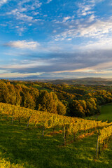 Naklejka premium Highest vineyards in Austria near the village Kitzeck im Sausal, Styria, Austria