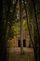 Fototapeta premium Pyramid of Wishes. Wooden pyramid in the mysterious Pokaini Forest near Dobele, Latvia during cloudy autumn day