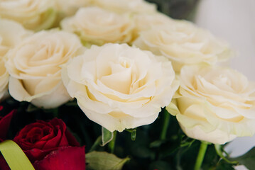 
Bouquet of beautiful rose flowers
