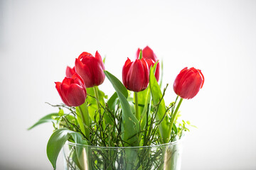Rote Frühlings Tulpen in der Vase