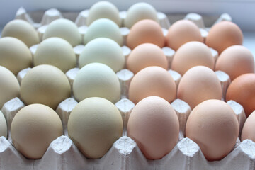 Many chicken eggs in the tray. Brown and white chicken eggs in cardboard egg tray. Organic egg for...