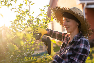 Side view of focused young caucasian woman gardener cuts unnecessary branches and leaves from tree...