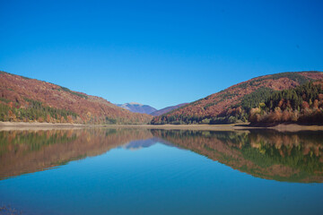 Fototapeta premium Amazing autumn landscape in the mountains with river and colorful trees on backdrop. Beautiful autumn background. Fall near Tereblia reservoir, Carpathian Mountains, Ukraine. 