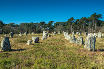 Part of the largest menhir alignment in the world near Carnac