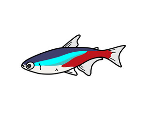 Neon Tetra Fish, a hand drawn doodle of a neon tetra fish, isolated on white background.