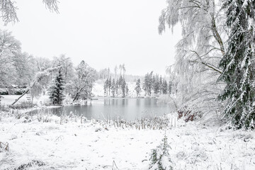 Birnbaumteich Harz im Winter