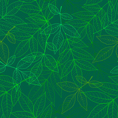 Seamless leafy background in green colors. Beautiful spring pattern with the image of the contours of the leaves. For printing on textiles, wallpaper, wrapping paper, postcards, banners, posters, etc.