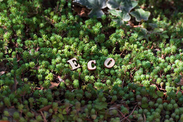 Eko word made from wooden letters on natural background of green grass in forest. Caring for nature...