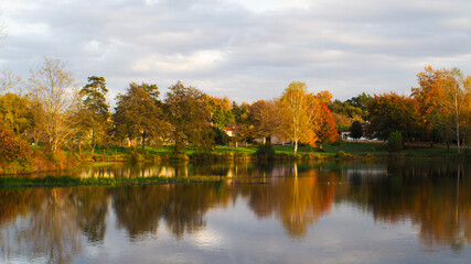 Rive d'un étang aux couleurs chaleureuses, pendant le coucher du soleil