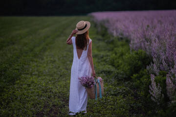 A young woman in a white sundress, straw hat holds a wicker basket with a bouquet. A girl walks through a sage blooming pink field at sunset. The concept of tenderness, beauty of untouched nature