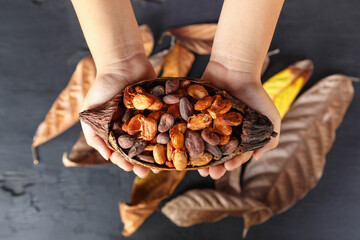 Dry cocoa beans on hand