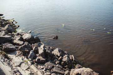 person on the rocks