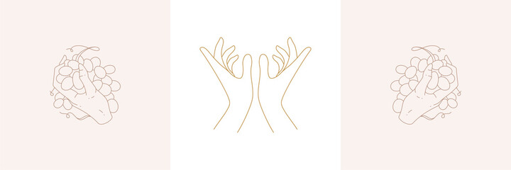 Hands holding grapes and offering prayer gesture in boho linear style vector illustrations set.