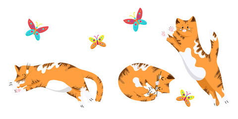 ......Set of cats in different poses, funny red kittens, cat jumping for a butterfly, cute pets in cartoon style, vector objects on a white background, hand draw...