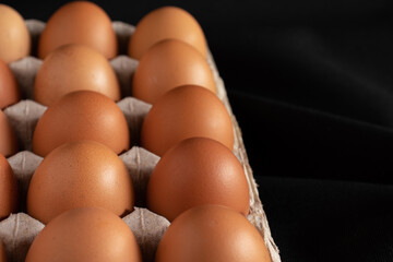 Chicken eggs in panel on black background