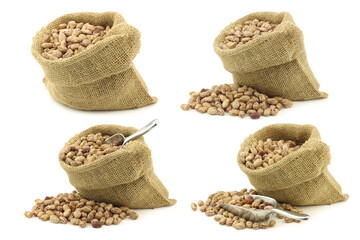 speckled beans in a burlap bag and some with an aluminum scoop on a white background