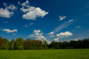 Clouds, deciduous forest and green meadow on a sunny day, landscape.