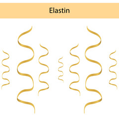 elastin is an important constituent of human skin connective tissue on a white background is used in medicine and cosmetology