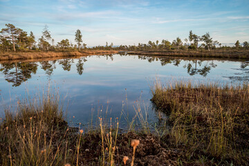 Beautiful lake of the Great Kemeri bog in the Kemeri National Park near Jurmala, Latvia