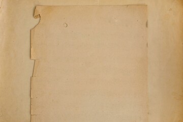 A blank sheet of aged, scratched, worn paper in close-up with space for text.