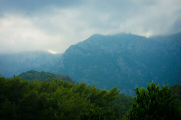 mountains, forest and misty sky, background