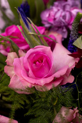 Bouquet of pink English roses, tulip, carnation and green close up