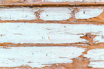 Close-up, texture of peeling white paint from wood.