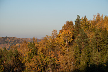 Fototapeta premium Beautiful and colorful forest valley by the river Gauja in Sigulda, Latvia during sunny autumn day
