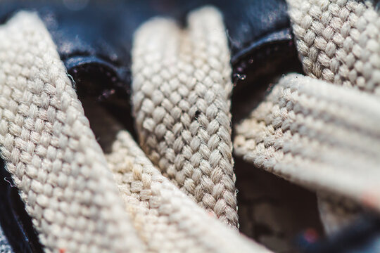 close up of a snake