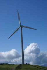 wind turbine in the field